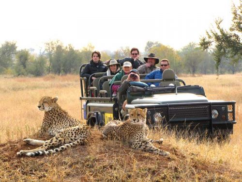 Luxury Safari Tourism Market